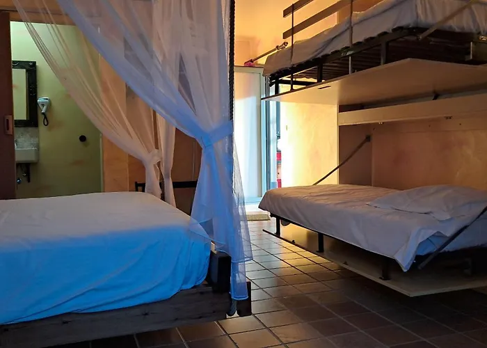 Varma Nesto De Panne